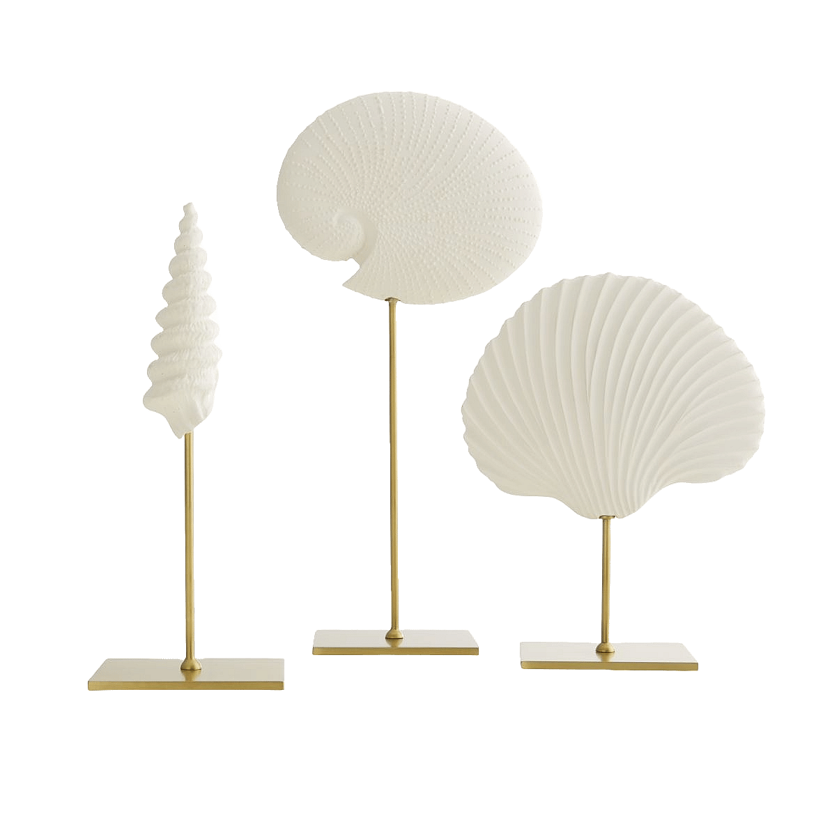 Shell sculptures, Celerie Kemble for Arteriors