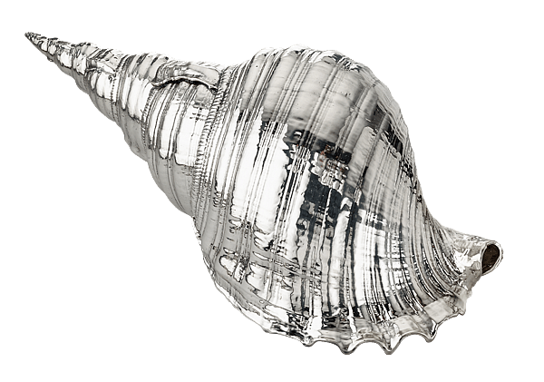 'Charonia Tritonis' sculpture, Buccellati at Source at Personal Shopping